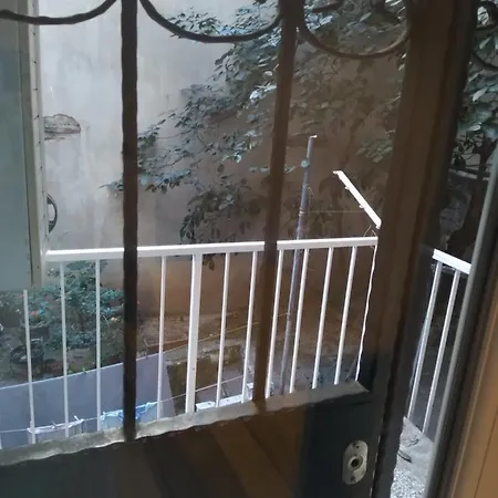 Fiona' Nest *